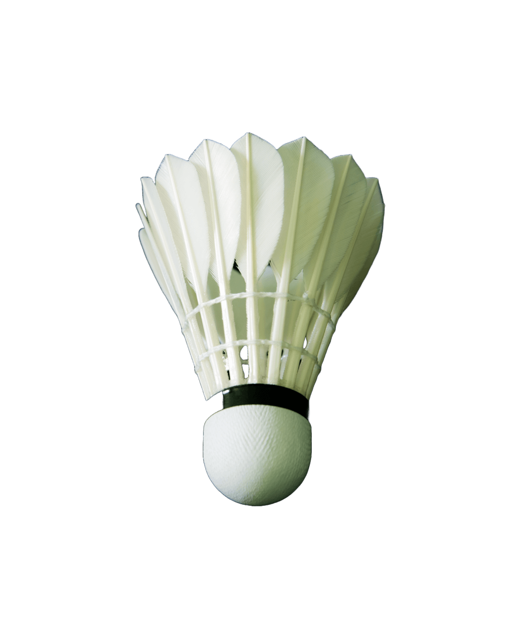 Shop Secondary Image Shop Secondary Image