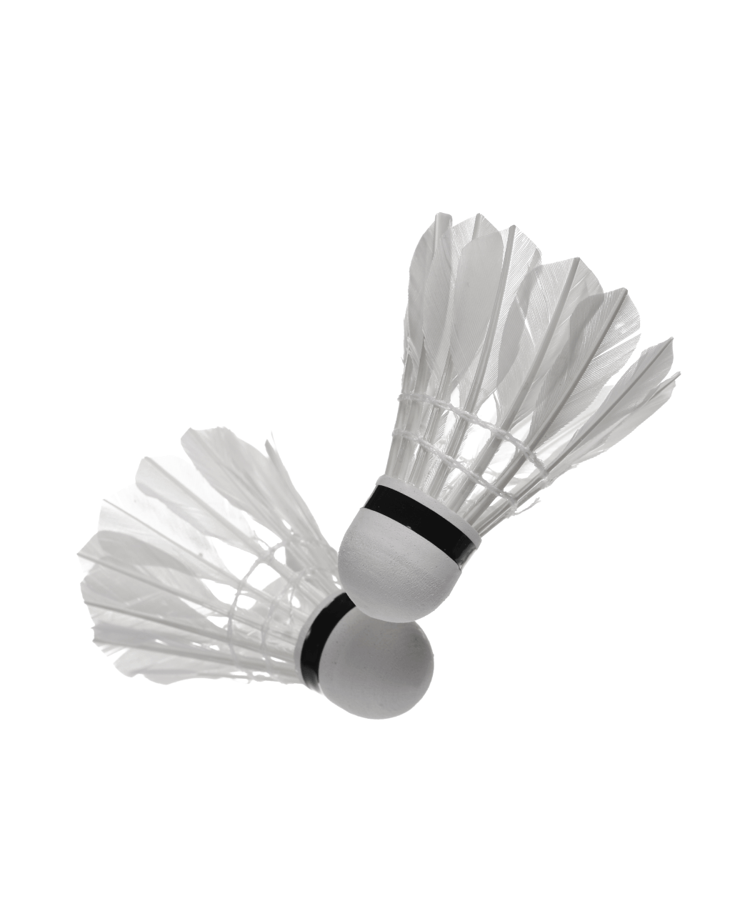 Shop Primary Image Shop Primary Image